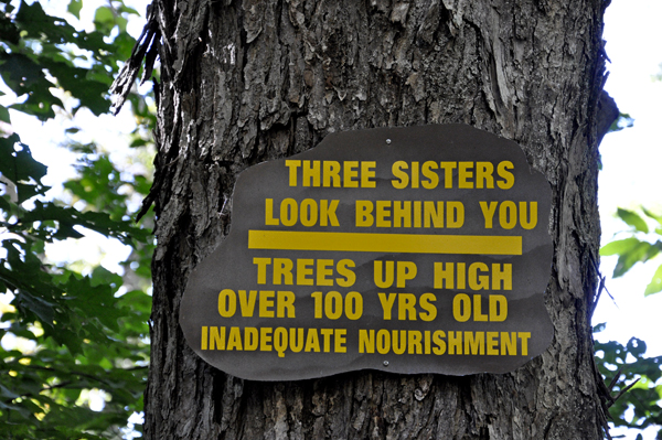 sign about the three sisters
