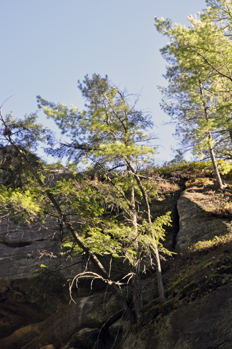 three Sisters at Rock City Park