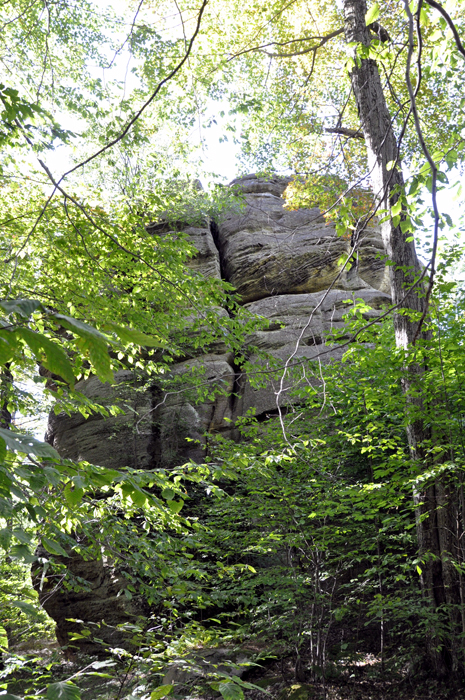 Sentinal Rock - the largest free standing rock in the park