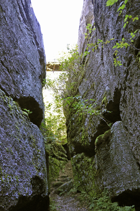 view of the bridge 