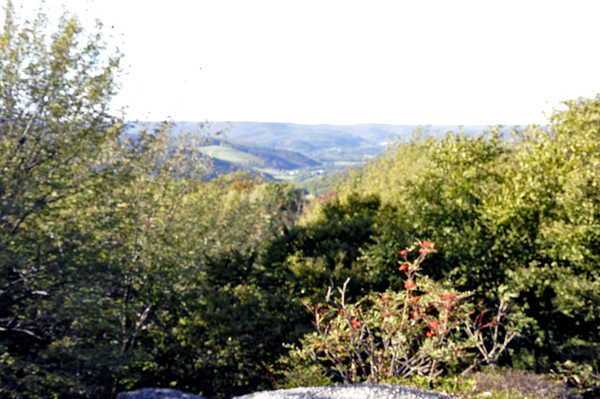 Signal Rock Overlook