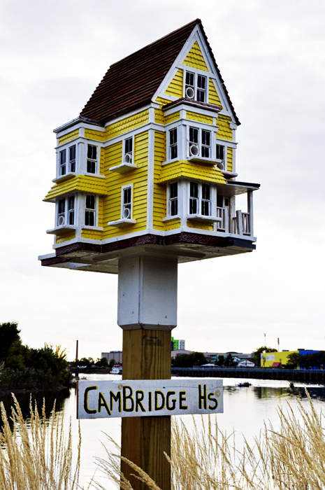 Cambridge House birdhouse