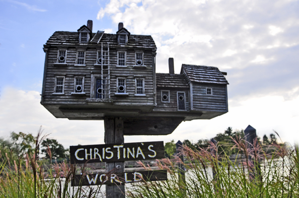 Christina's World birdhouse