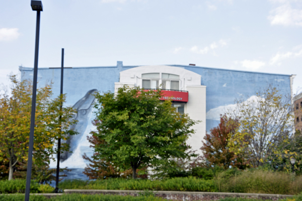 Trellist?Н╗┐ well-known ?НўЎhale Building??in Wilmington?Н╗┐ Lower Market (LOMA) Design District'