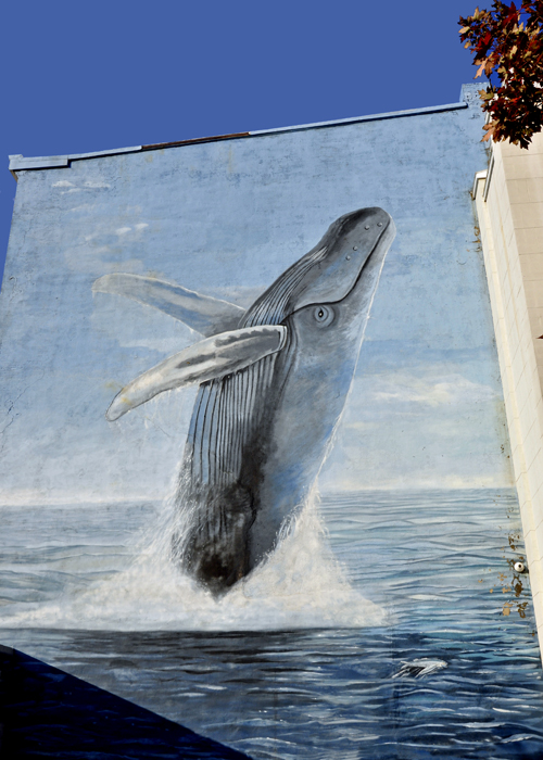 Wyland whale building