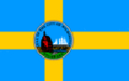 Delaware flag