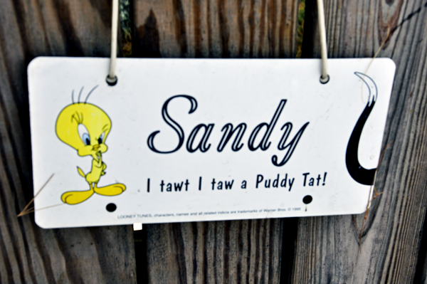 I Tawt I taw a Puddy Tat