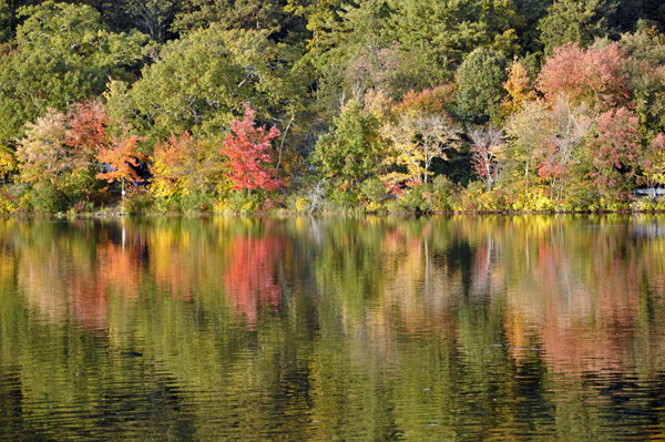 Fall colors on Mossup Pond