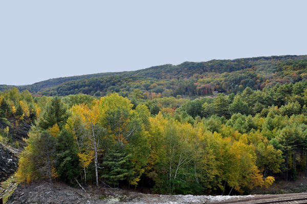 fall colors at Thomaston Dam