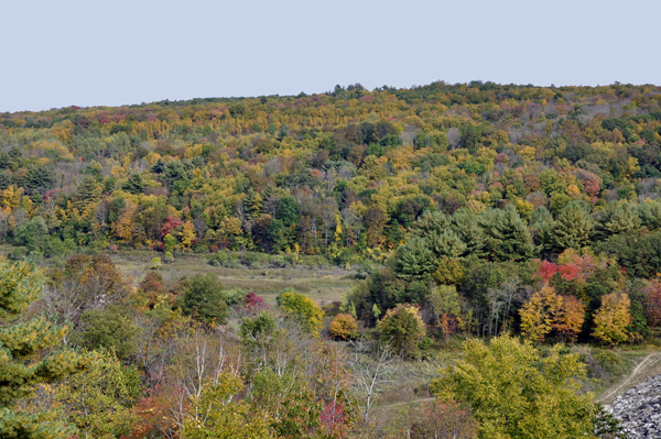 fall colors at Thomaston Dam