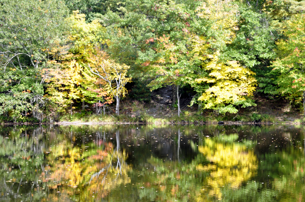 fall colors - autum in Connecticut