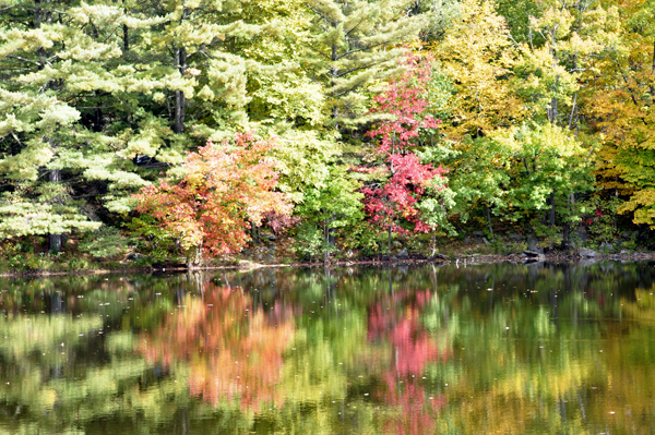 fall colors - autum in Connecticut