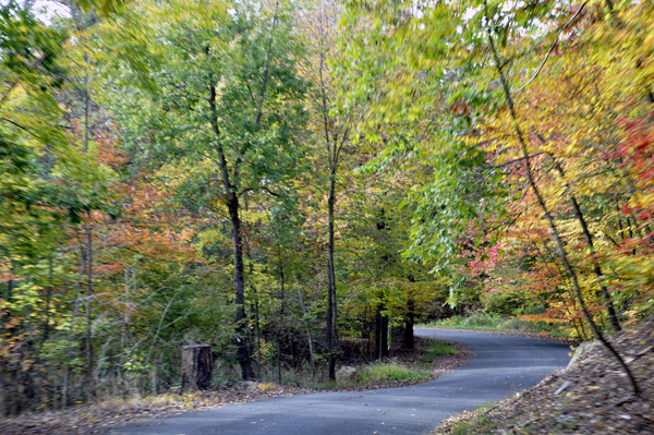 fall colors