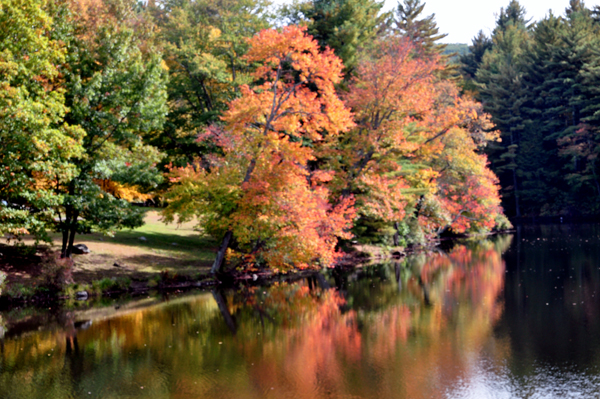 fall colors - autum in Connecticut