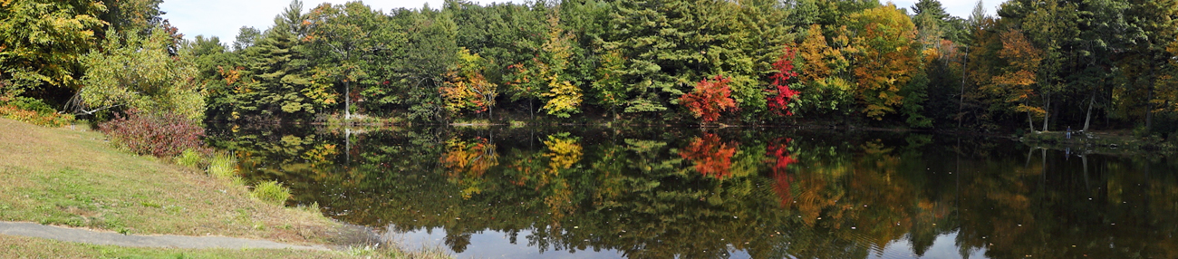 fall colors - autum in Connecticut