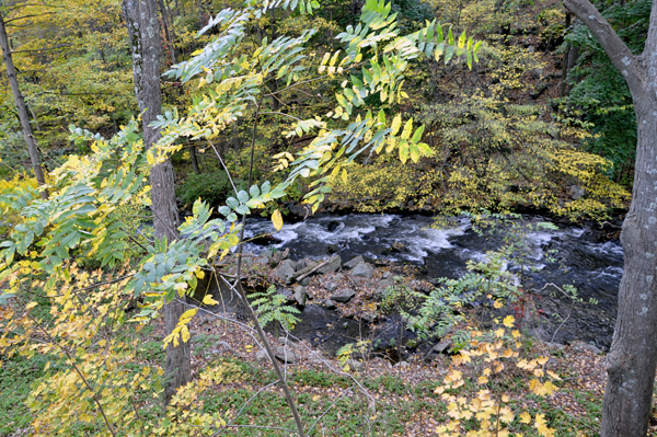 View of the river as it flows away from the waterfa