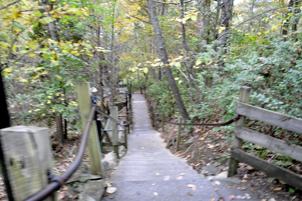 some of the 137 steps down to The Natural Bridge