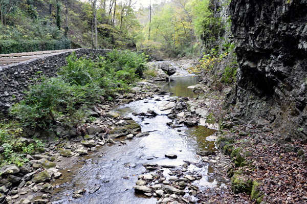 steam along the Cedar Creek Trail