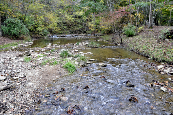 the river stream