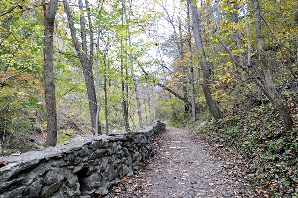 trail to Lace Waterfalls