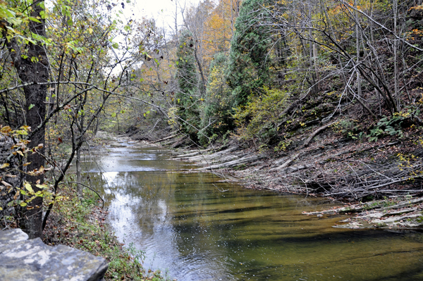 View of the river by Lace Falls