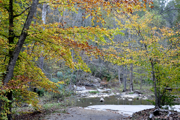 View of the river by Lace Falls