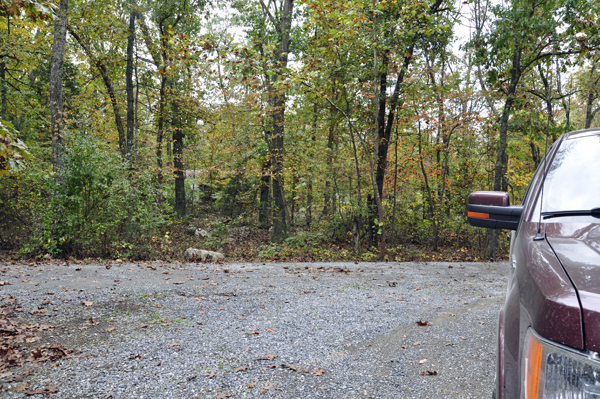 woods behind the RV of the two RV Gypsies