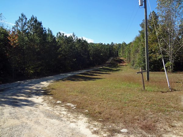 Sandy & Steve's driveway