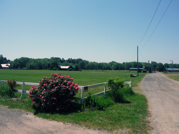 Agricultural Fair Grounds