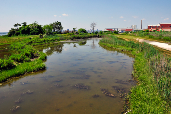 view from the drawbridge