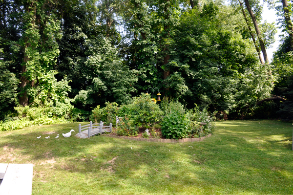 The Marsh backyard