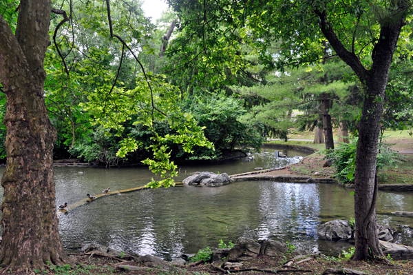 great scenery in Hagerstown City Park