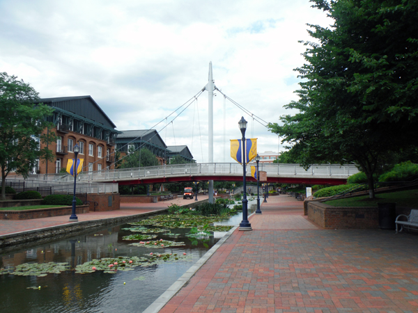 bridge and flags