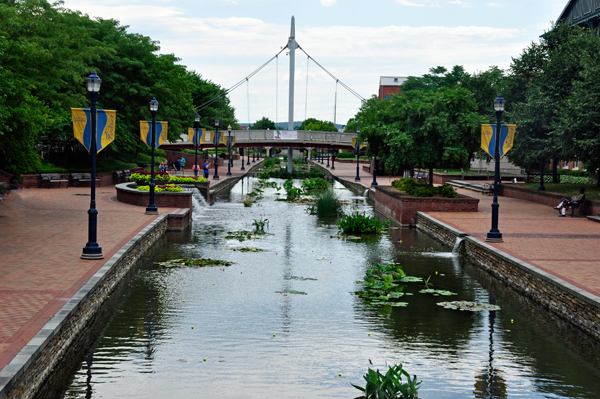 bridge and flags