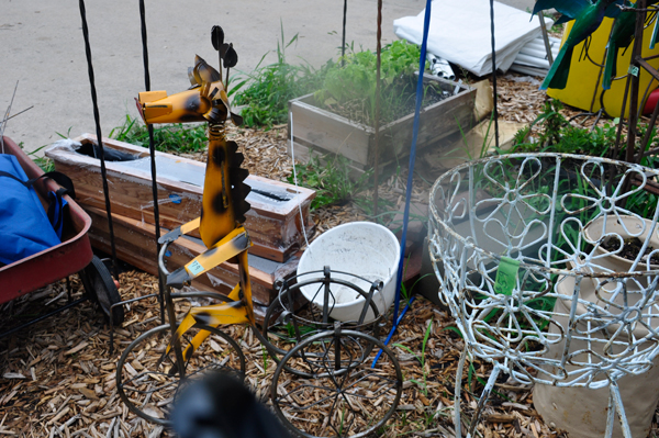 giraffe on a bicycle