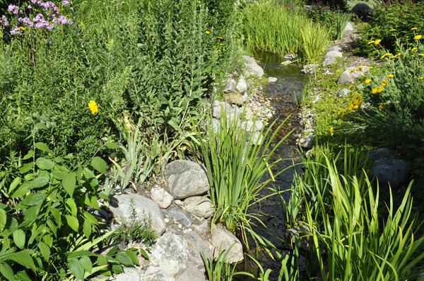 view from a bridge in the gardens