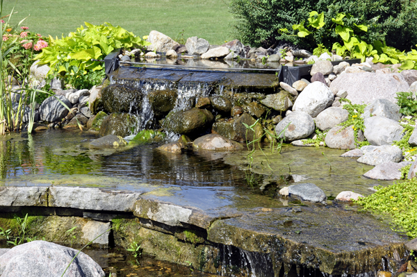 waterfall in the garden pond