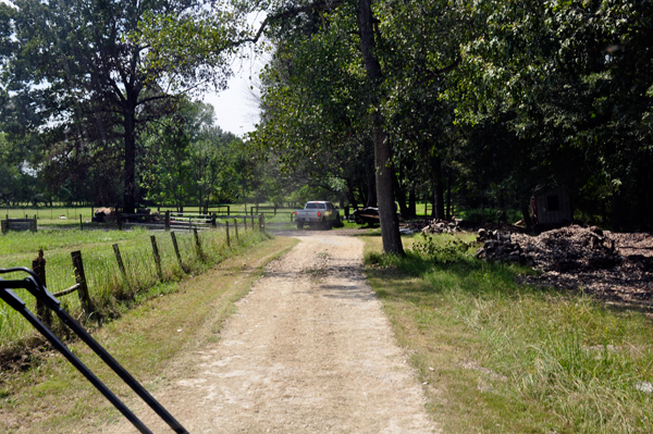a small part of the driveway