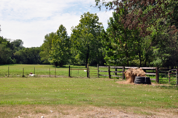 part of the farm