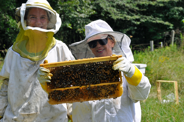 Karen Duquette handles the bees