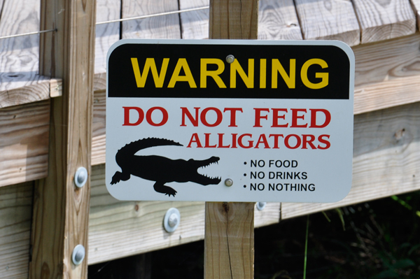 do not feel alligator sign
