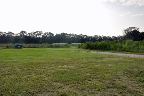 view in campground