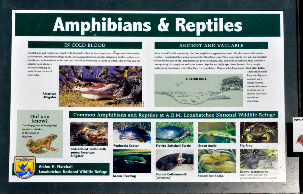 sign about Amphibians and reptiles