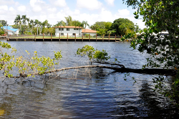 view from the boardwalk trail