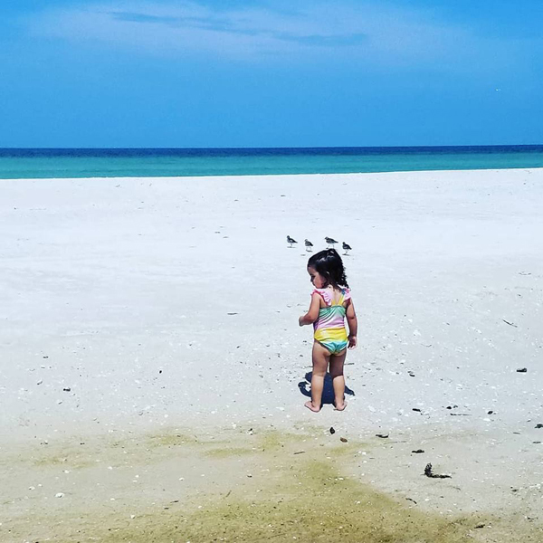 exploring the beach