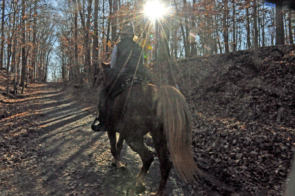 horse and rider on the hiking trail