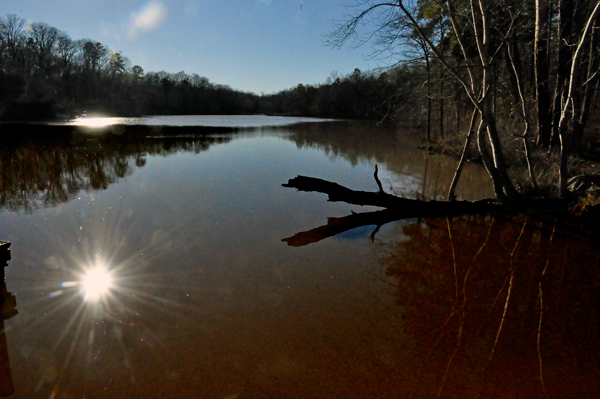 Lake Haigler