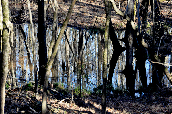 Upside down reflection