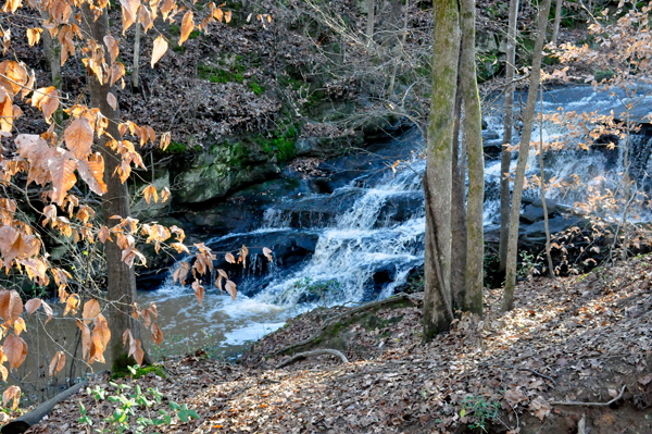 waterfall at Anne Springs Greenway