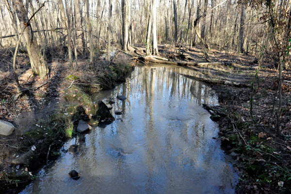 Anne Springs Greenway